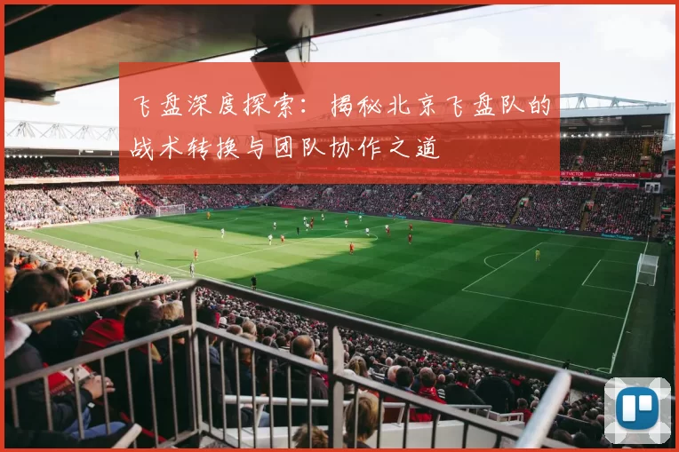 飞盘深度探索：揭秘北京飞盘队的战术转换与团队协作之道