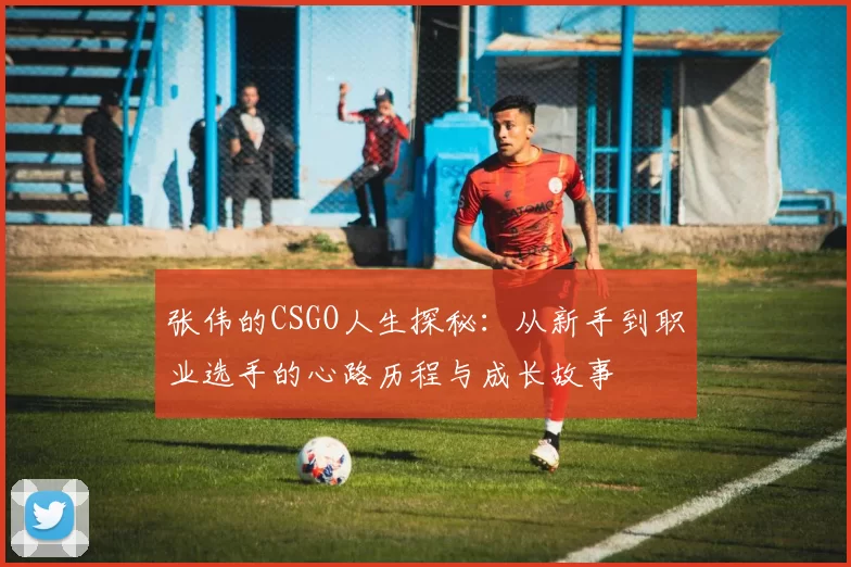 张伟的CSGO人生探秘：从新手到职业选手的心路历程与成长故事