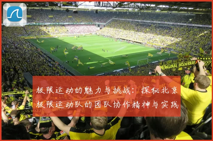 极限运动的魅力与挑战：探秘北京极限运动队的团队协作精神与实践