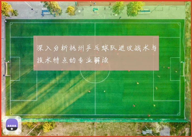 深入分析杭州乒乓球队进攻战术与技术特点的专业解读