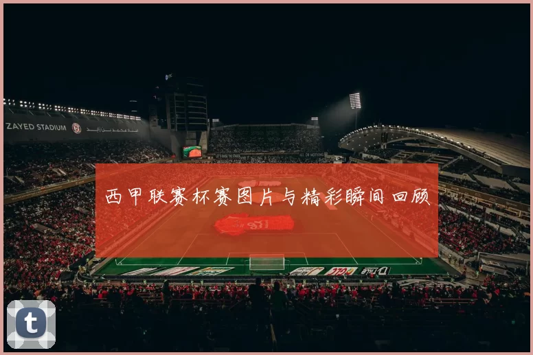 西甲联赛杯赛图片与精彩瞬间回顾